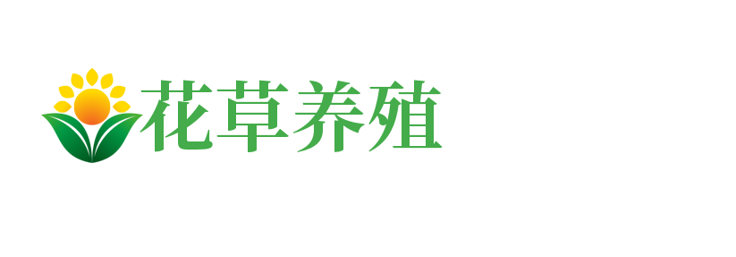 哪个牌子的护肤品好呀？想给妈妈买一套抗衰老的护肤品?_新疆维吾尔自治区巴音郭楞蒙古自治州且末县线拆制版设备股份公司